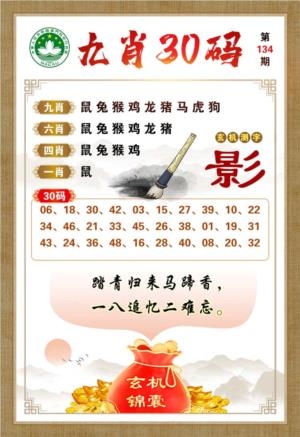 九肖30码