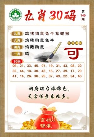 九肖30码