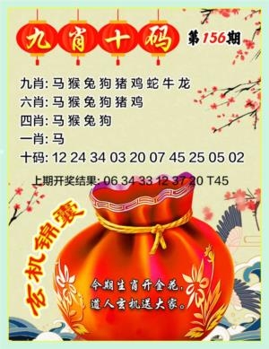 九肖十码